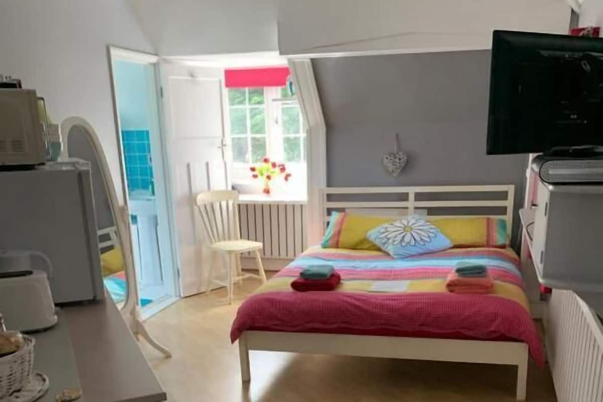 Ein Schlafzimmer mit Bett, Schreibtisch, Stuhl, Fernseher und einem Fenster mit Blick ins Freie.