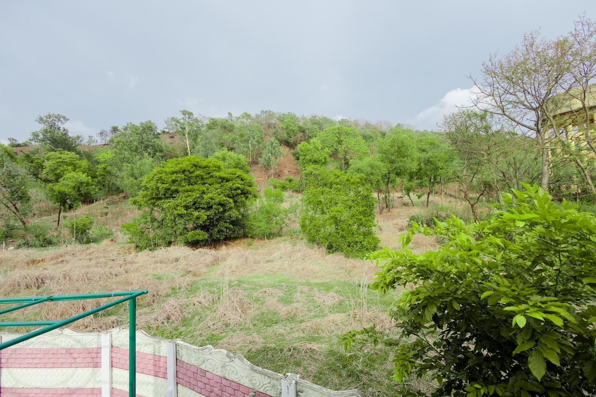 A view of a hillside with various trees and a gated area in the foreground.