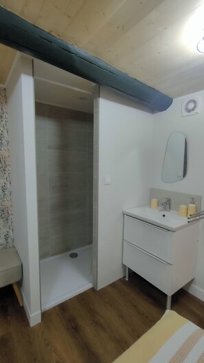 Regadera, secadora de cabello, toallas, jabón 