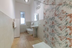 Ducha, secador de pelo, bidé y toallas