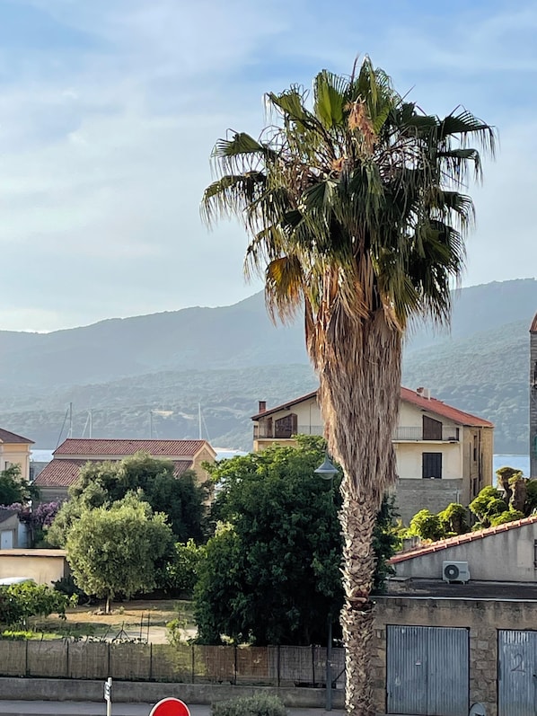 A residential area with a tall palm tree, houses with red roofs, and a mountainous backdrop.