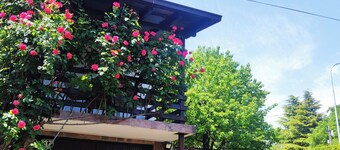 ZNK Family House: children-friendly cozy place with a yard  in delightful Skopje