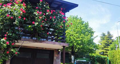 ZNK Family House: children-friendly cozy place with a yard in delightful Skopje