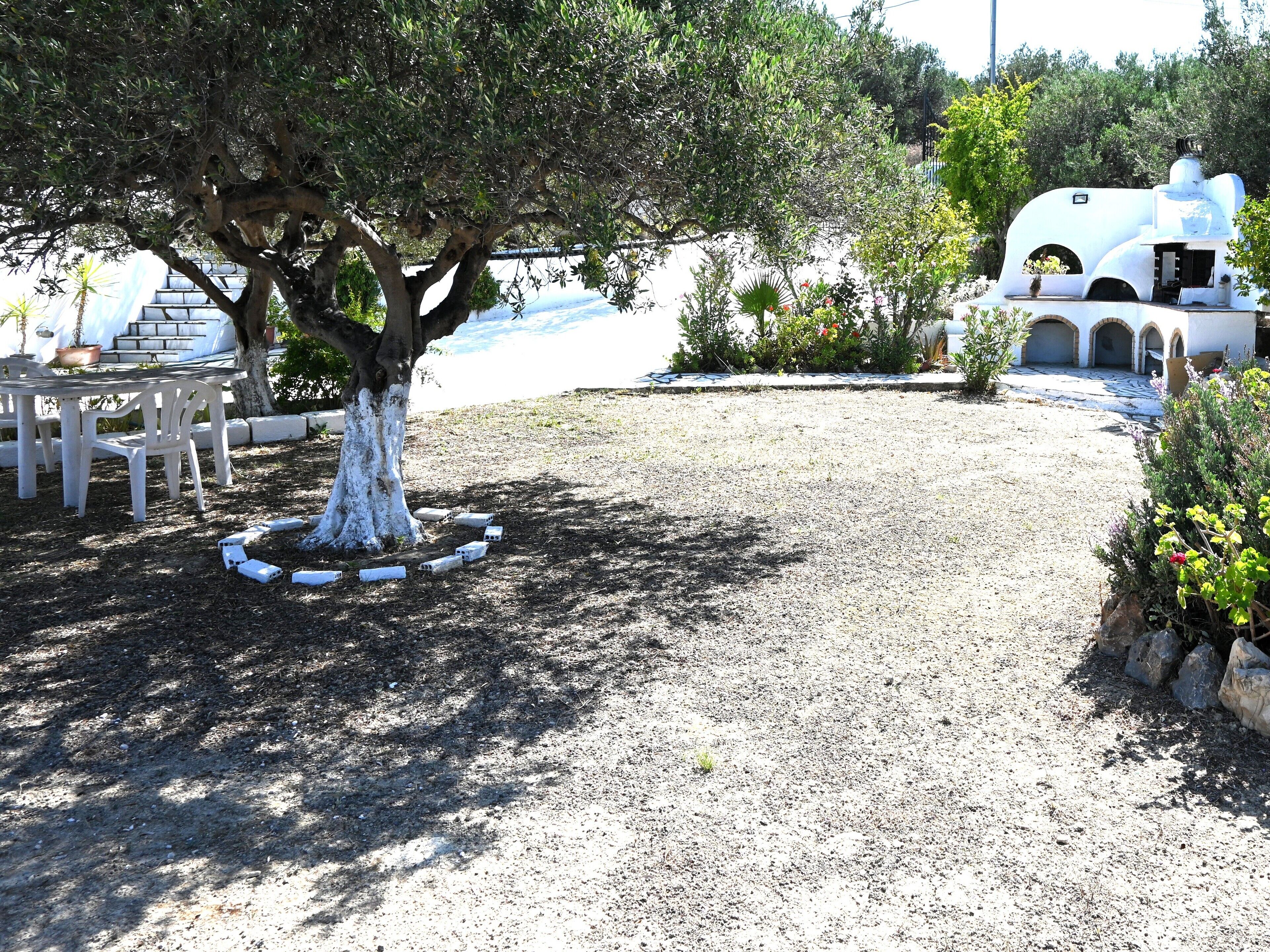 Un arbre dont le tronc est peint en blanc, et un espace patio avec des chaises et une table, le tout de couleur blanche.