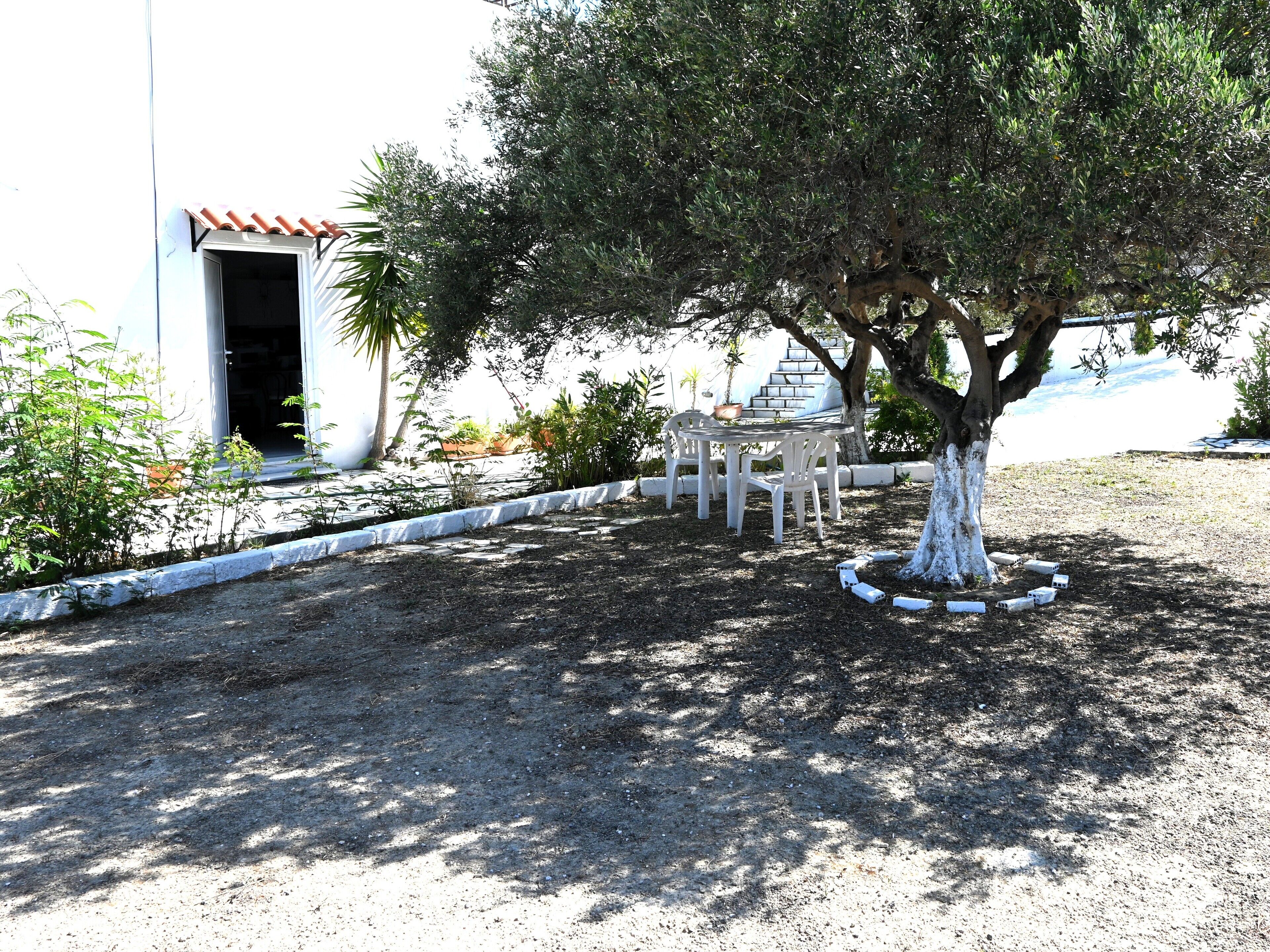 A garden with a white table and chairs, surrounded by a white border.