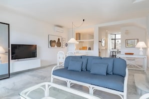 Smart TV, fireplace, books