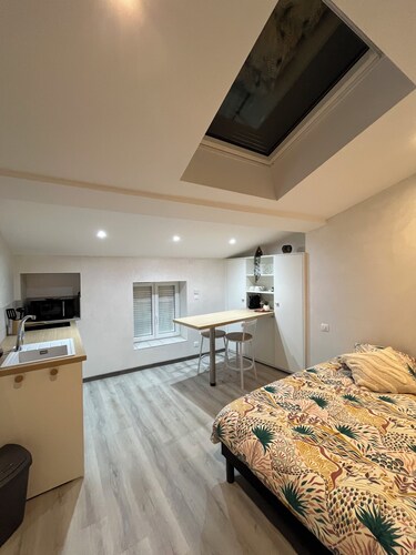 Cosy studio near train station - Mâcon city center