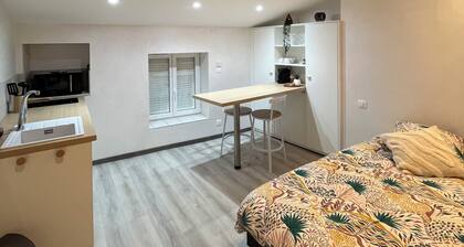 Cosy studio near train station - Mâcon city center