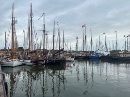 Un puerto deportivo con varios veleros amarrados.