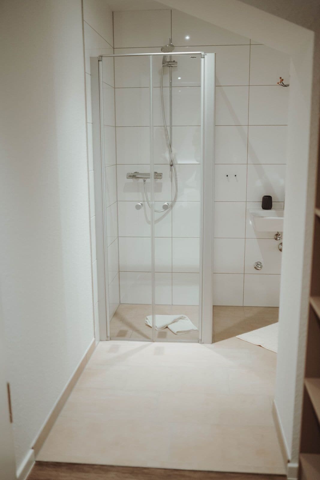 Une douche fermée par des parois en verre, dotée d’un pommeau de douche à main, d’un porte-serviettes et d’une petite étagère pour les articles de toilette.