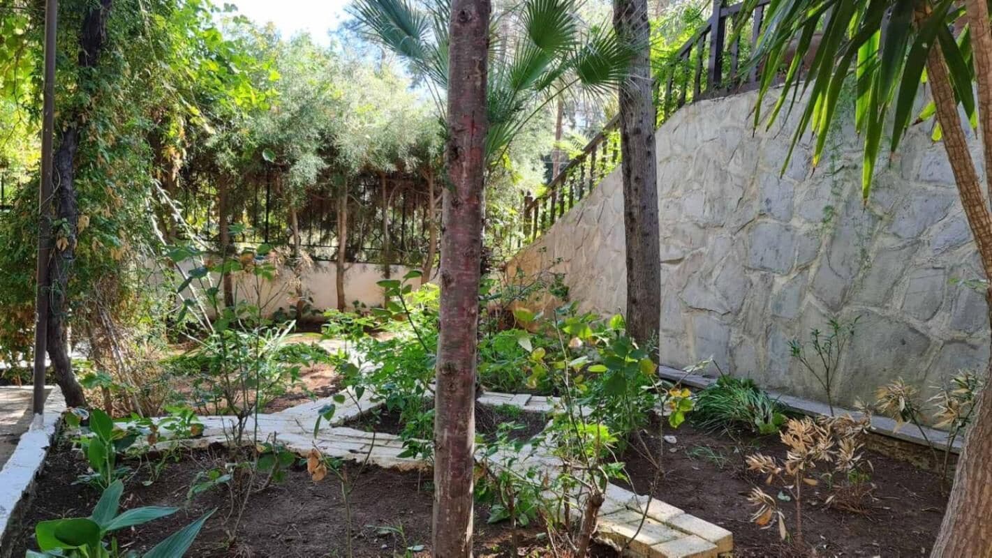 Ein Garten mit verschiedenen Pflanzen und einer Steinmauer.