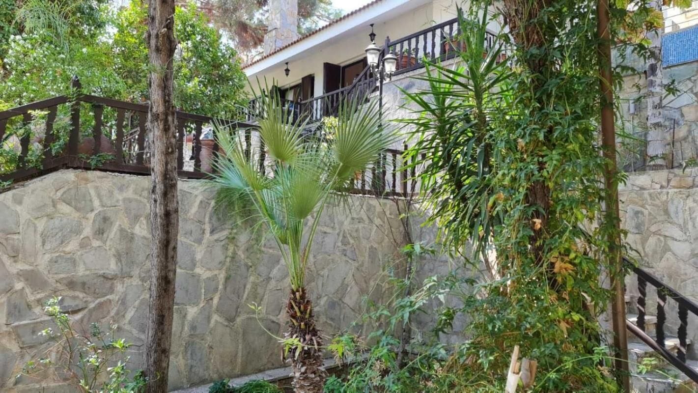 Um muro de pedra, uma palmeira e uma escadaria com guarda-corpo preto.