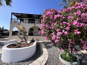 Villa, 4 chambres, piscine privée, vue jardin | Jardin