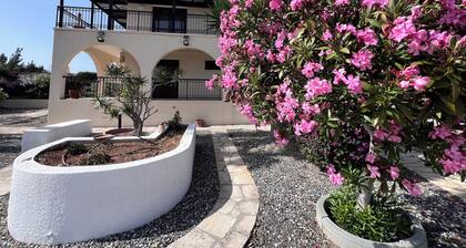 Charming Erimi Villa With Private Pool and Garden View