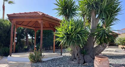 Charming Erimi Villa With Private Pool and Garden View