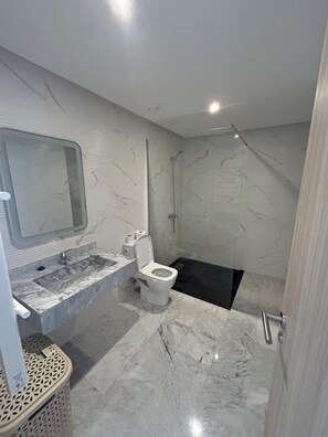 Shower, towels, toilet paper