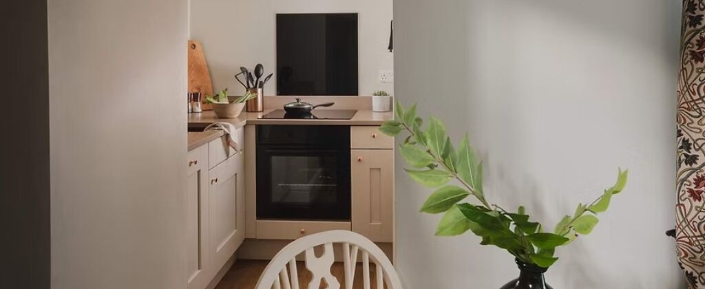 A kitchen with a stove, oven, and cabinets. There is a plant on the counter and a chair in the foreground.