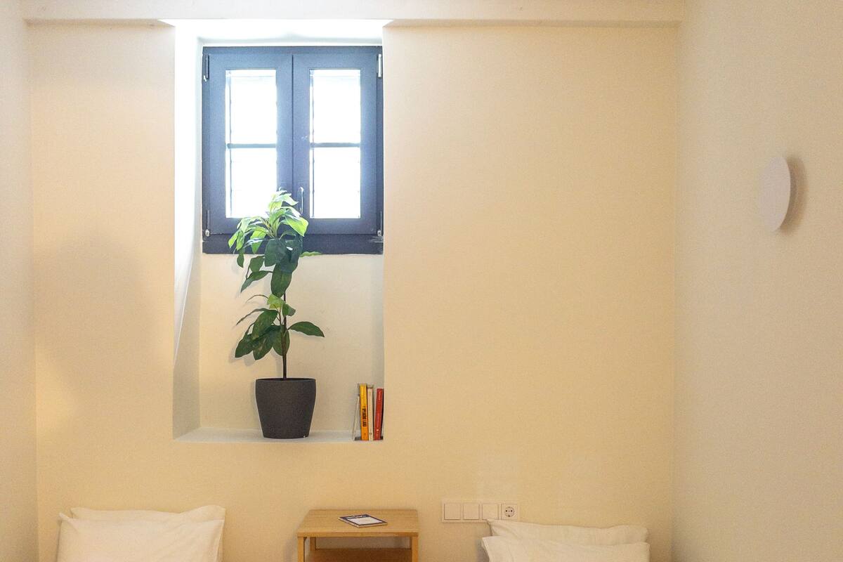 A small, cozy room with two beds, a nightstand, a potted plant, and a window.