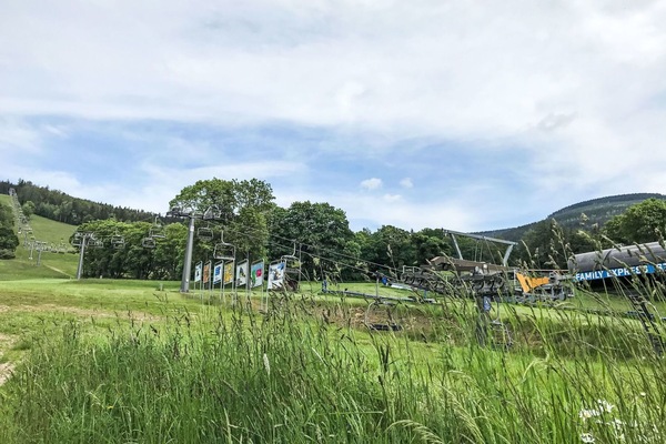 Gras, Grün, Natur, Landschaft, Wiese, Grundstueck, Einfach, Pole, Wiese