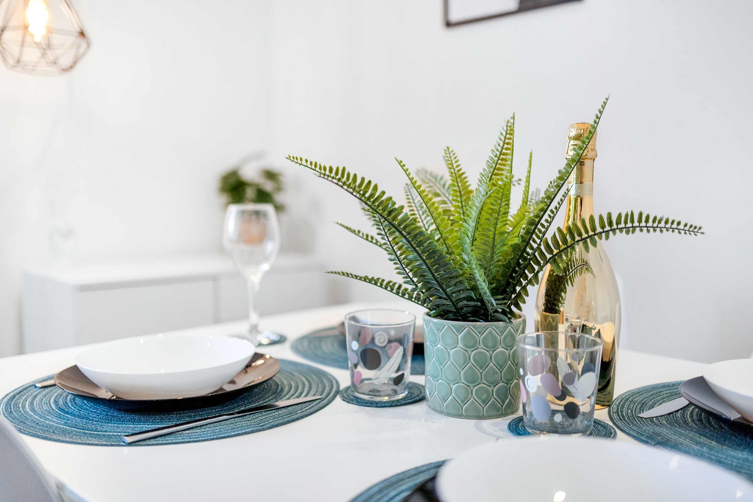 公寓 | 2 多间卧室、高速上网