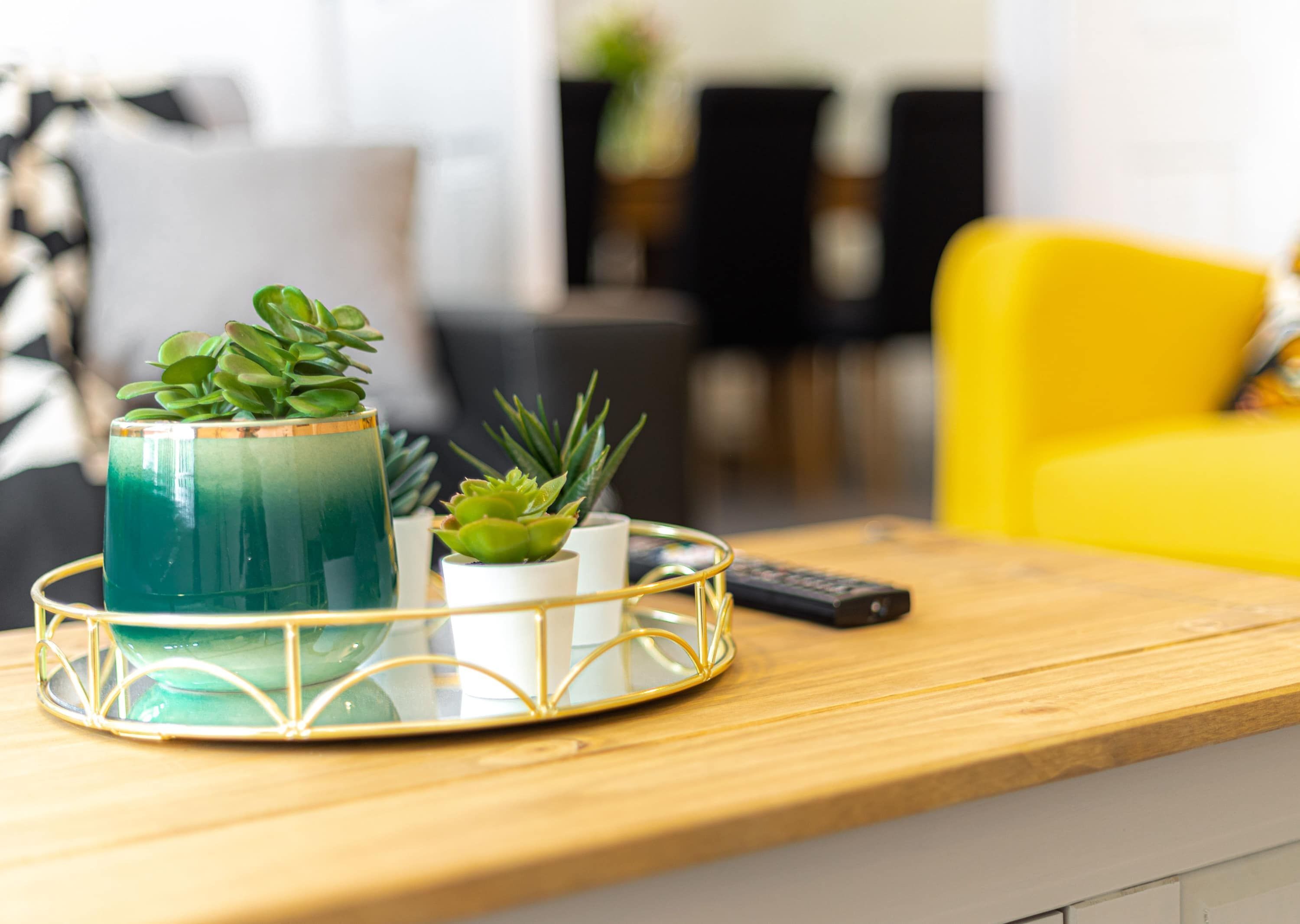 A kitchen counter with a tray holding a green glass container and small potted plants.