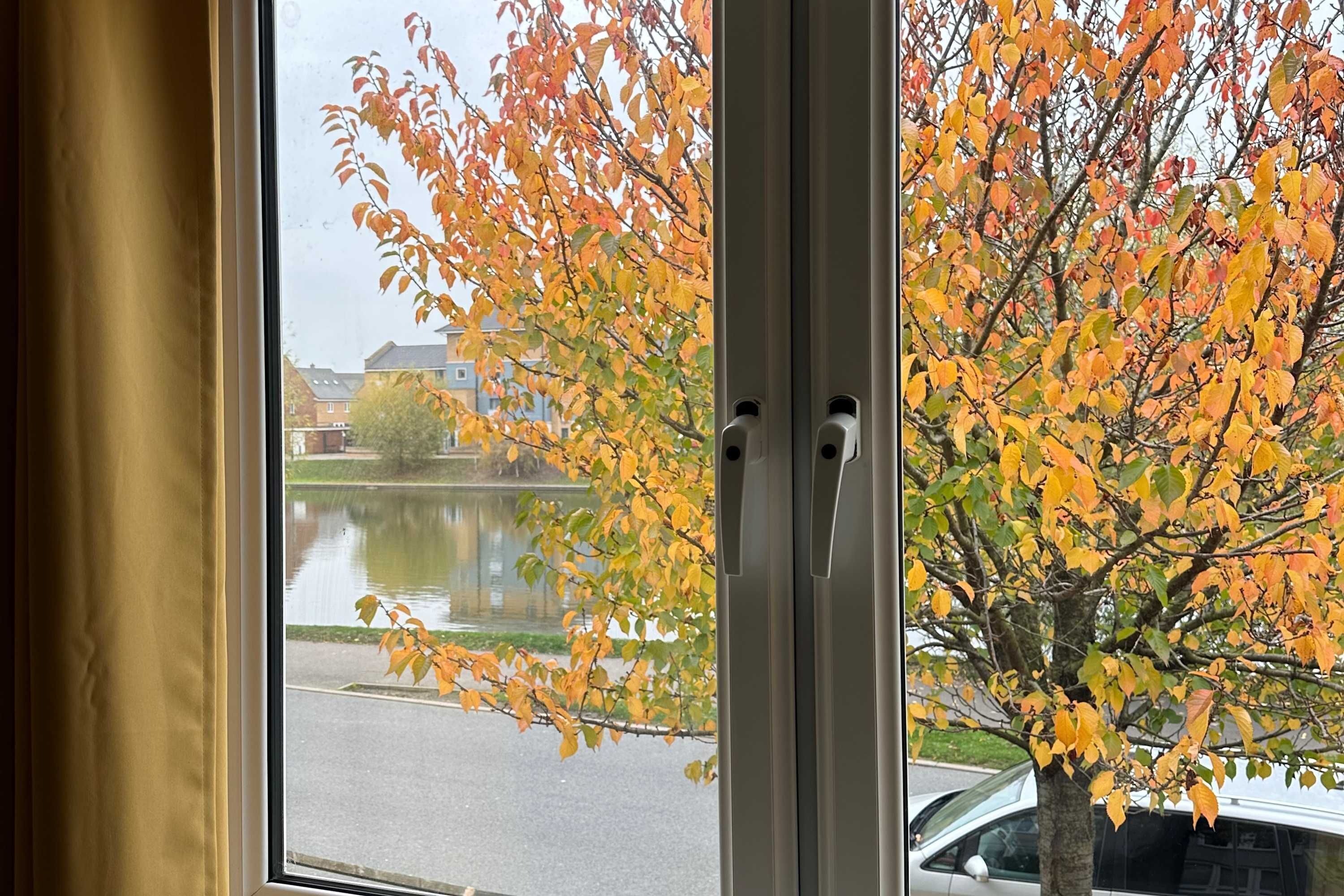Une vue à travers une fenêtre, avec des feuilles d’automne, un arbre et une étendue d’eau.