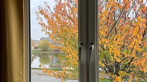 A view through a window with autumn leaves, a tree, and a body of water.