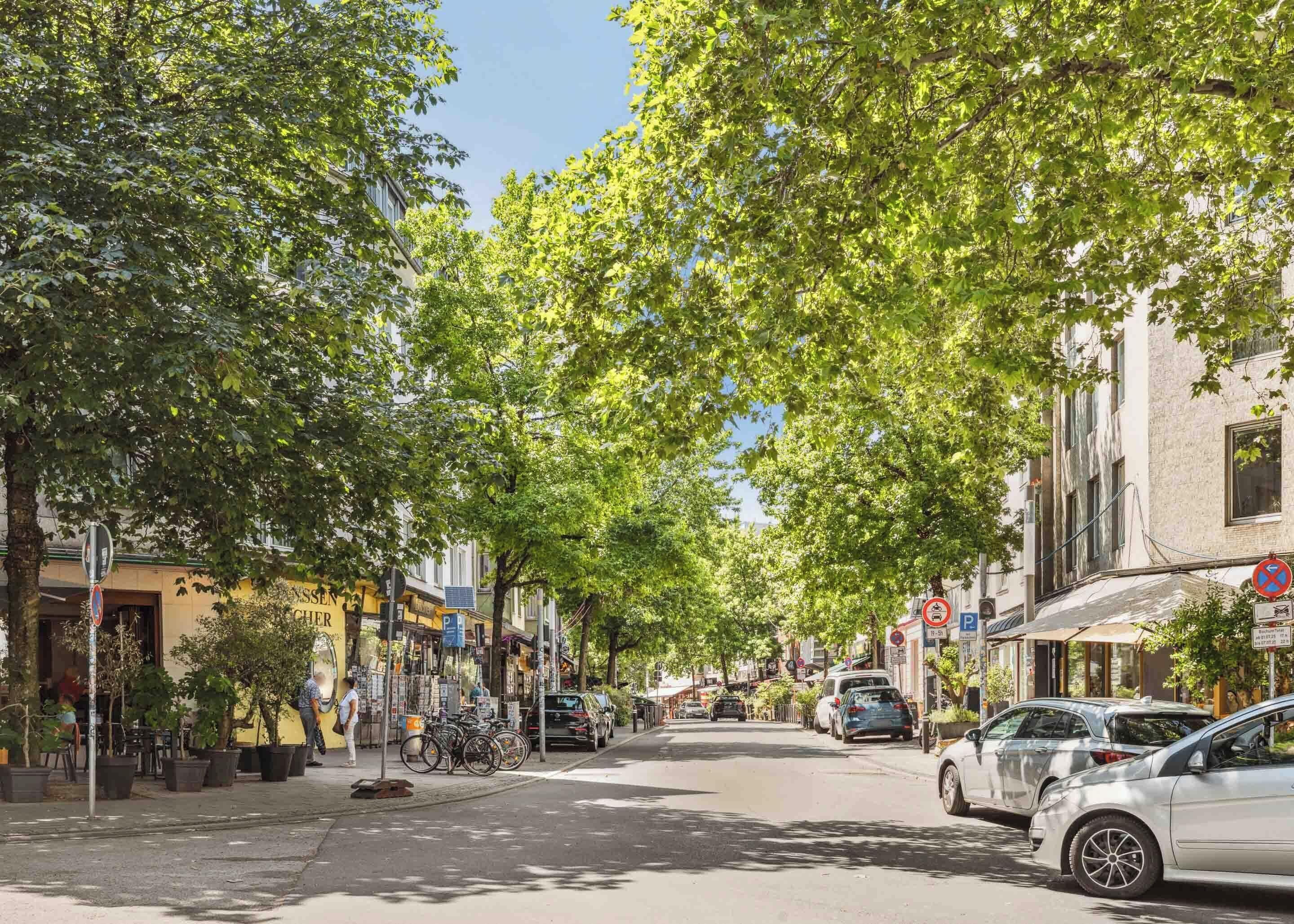 A tree-lined street with parked cars and buildings on either side.