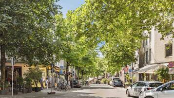 A tree-lined street with parked cars and buildings on either side.