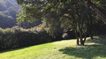Eine begrünte Fläche mit Bäumen und einer Hecke.