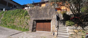 .\tGreen in the city exists: discover it at the Hedgehog Mansion with your furry.....