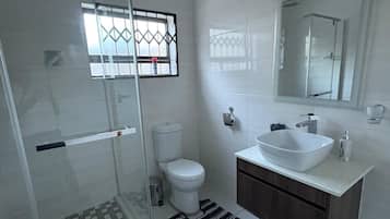Shower, towels, toilet paper