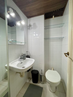 Hair dryer, bidet, towels, soap