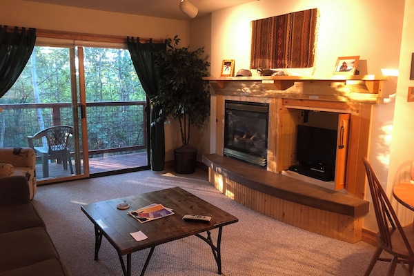 Televisor intel·ligent, llar de foc i llibres