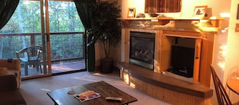 Cozy 1-bedroom condo in charming Driggs with WiFi