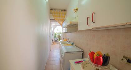 Rusciu Te Lu Mare Apartment