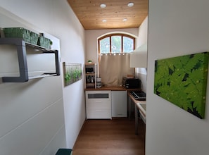A compact kitchen with a wooden ceiling, a window with a curtain, and a wall-mounted shelf with green plants. - A compact and affordable vacation rental on a rural estate surrounded by nature, near a lake (Kehnert)