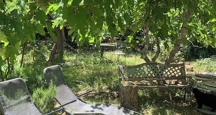 Mon petit coin de Paradis