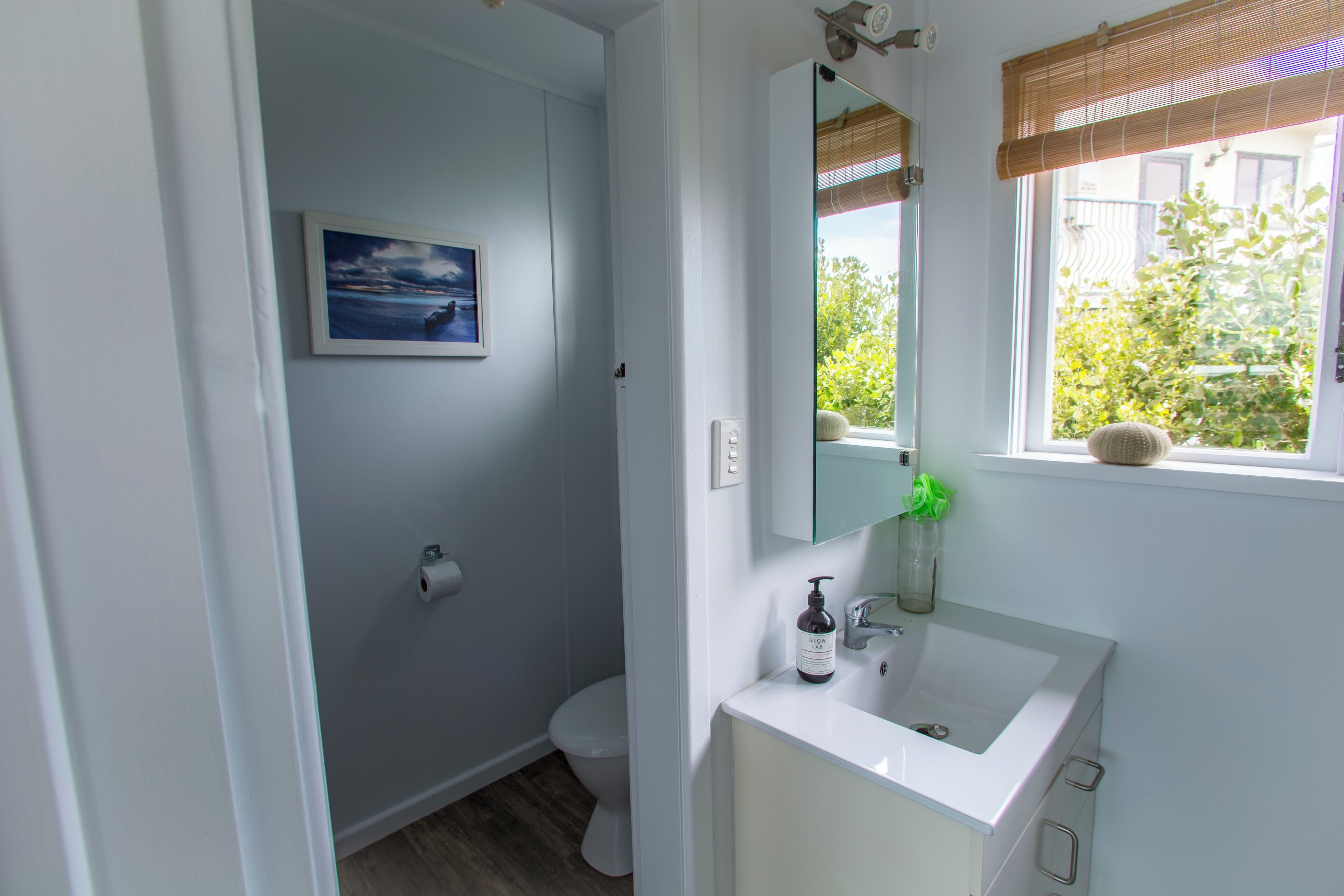 Shower, hair dryer, soap, shampoo