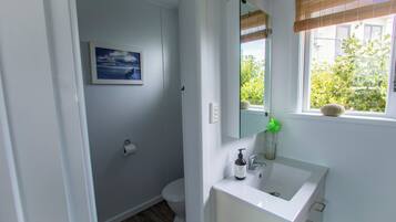 Shower, hair dryer, soap, shampoo