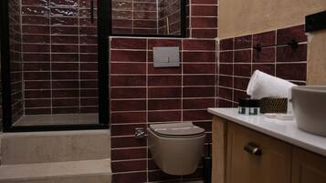 Standard Double Room | Bathroom