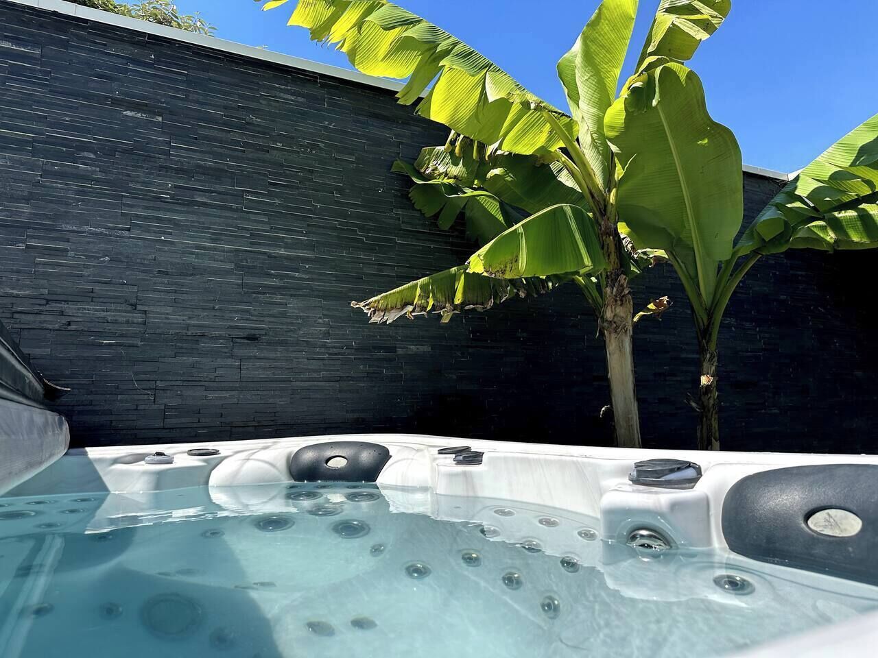 Un bain à remous avec un mur en pierre en arrière-plan et un bananier.