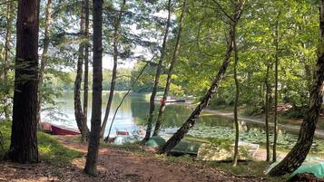 Skovområde med sø, både og en jordvej.