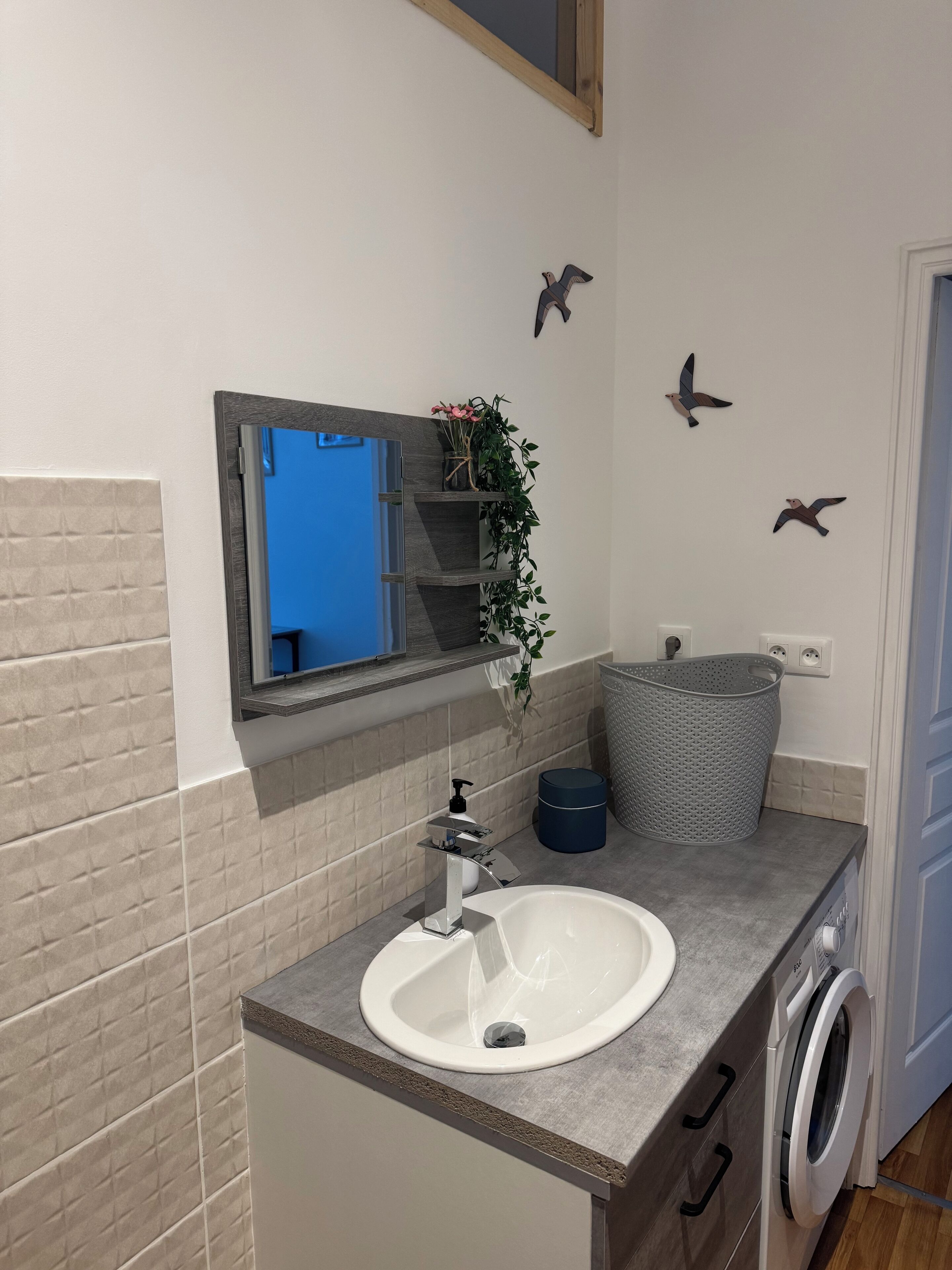A bathroom with a white sink, a mirror, a plant, and a washing machine.