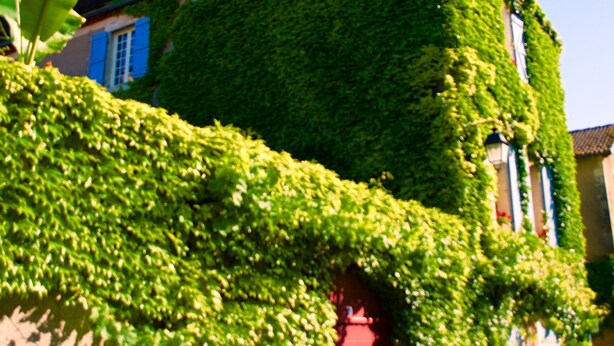 A building covered in green ivy, with a red door and a clear blue sky in the background. - Bed and breakfast in Castelfranc, ideal for a cycling stopover in the Lot valley (Castelfranc)