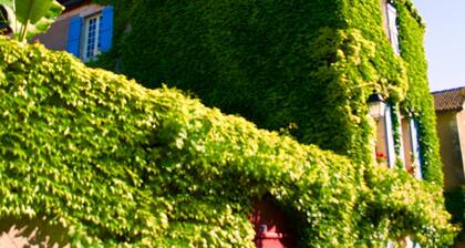 Chambre d'hÎtes à Castelfranc, idéal pour une étape en vélo sur la vallée du Lot