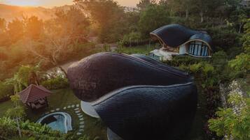 A unique, dome-shaped building surrounded by lush greenery and a small pond.