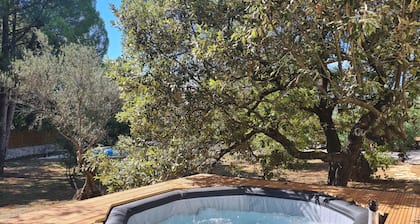 Lodge cosy dans la garigue