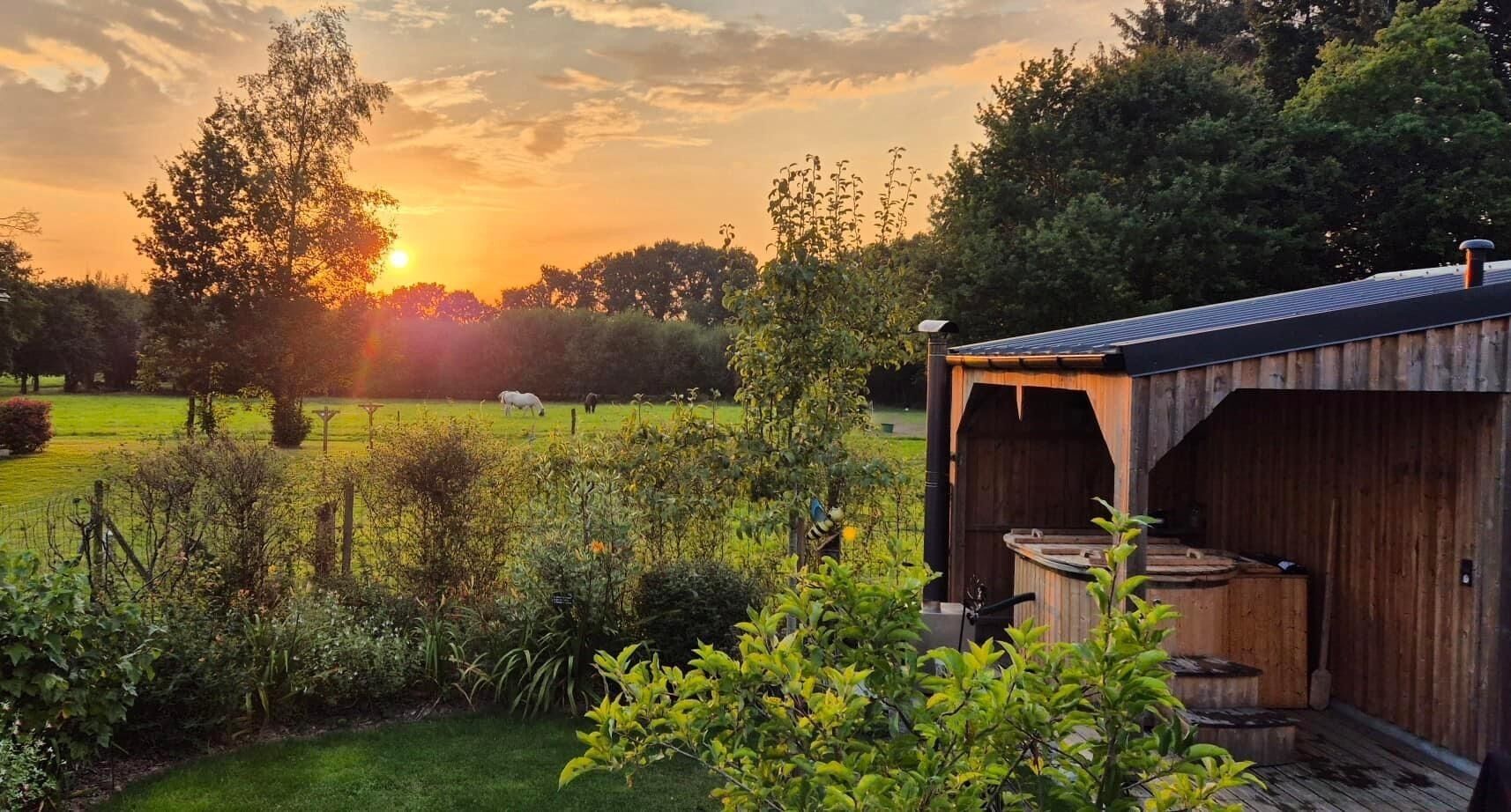 A rustic wooden building with a sloped roof, a barrel, and a garden with a variety of plants and a lawn.