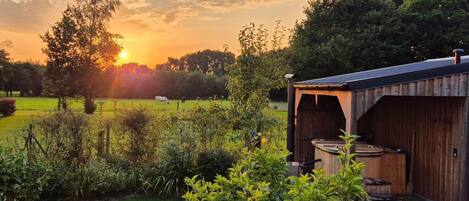 A rustic wooden building with a sloped roof, a barrel, and a garden with a variety of plants and a lawn.